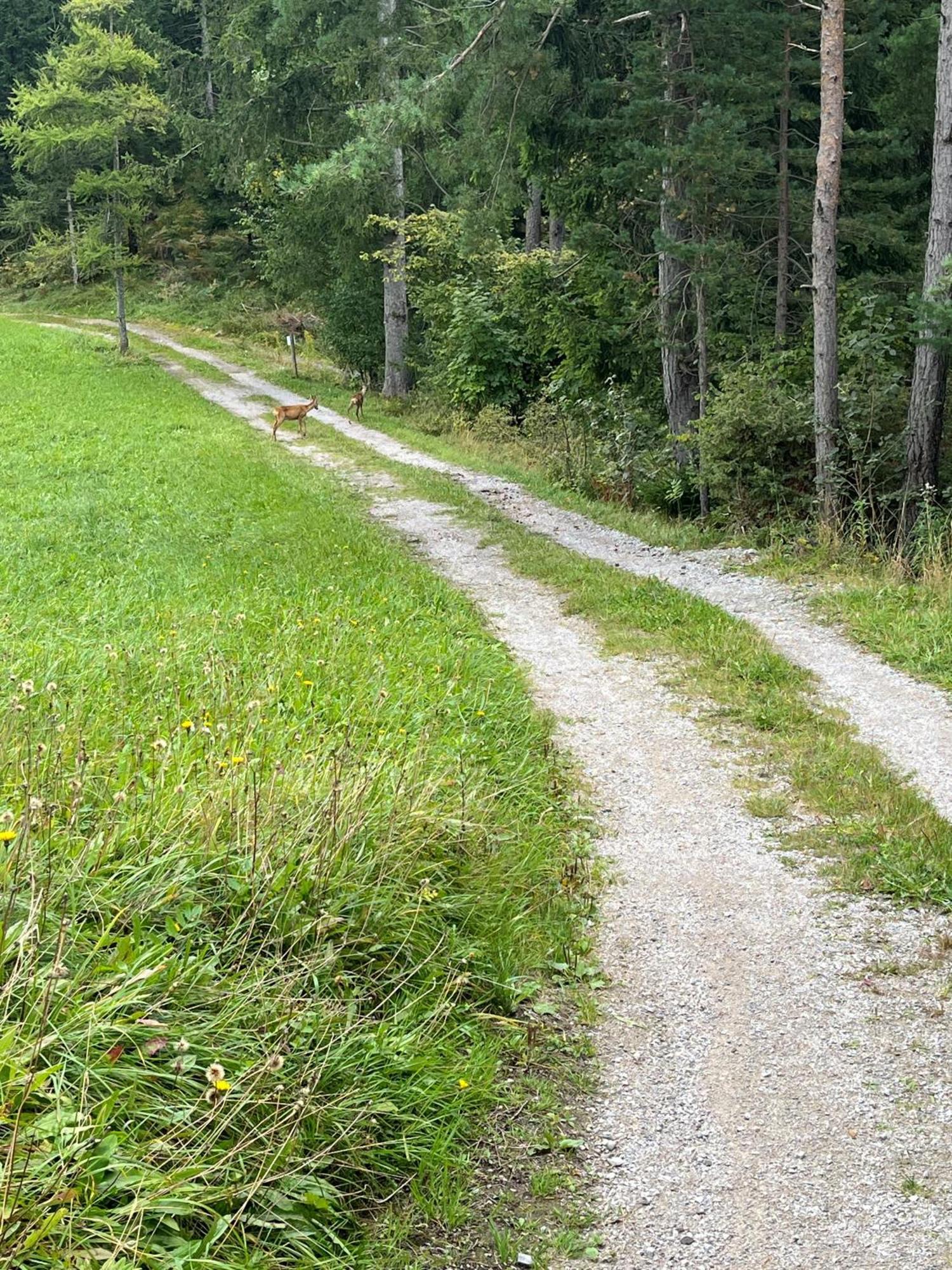 Meilerhof Reith bei Seefeld Exterior foto