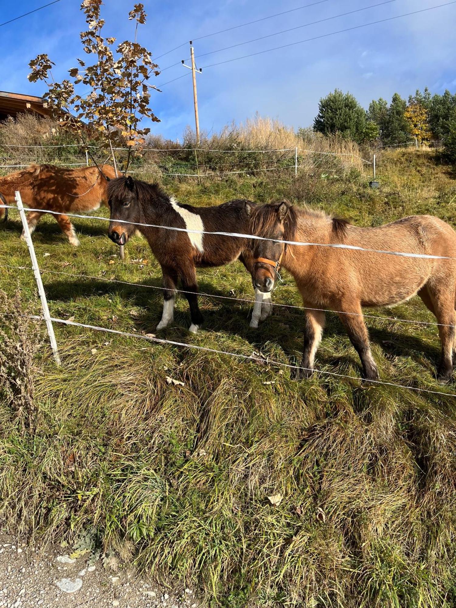 Meilerhof Reith bei Seefeld Exterior foto